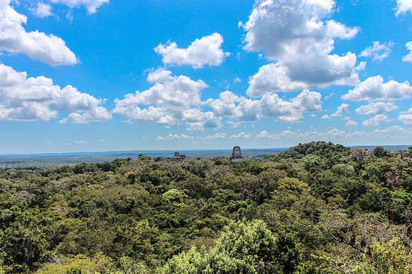 Tikal